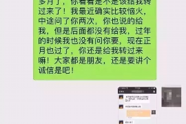 泰顺为什么选择专业追讨公司来处理您的债务纠纷？